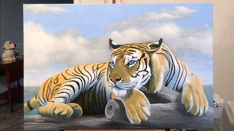 Tiger and Clouds Time Lapse