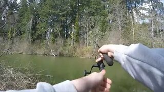 Creek Fishing For Rainbow Trout! Vlog no. 1