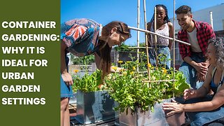 Container Gardening Pt 3: Why Growing in Containers Is Ideal for Urban Gardening