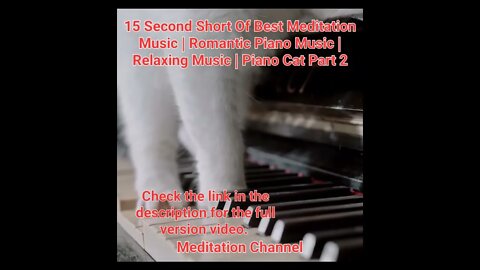15 Second Short Of Best Meditation Music | Piano Music | Relaxing Music | Piano Cat Part 2 #shorts