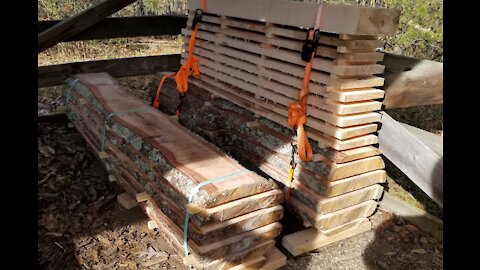 #R015 Sawmilling Green Maple Logs