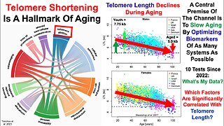 Telomere Length Test #7 in 2023: My Best Data Yet