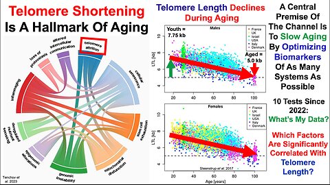 Telomere Length Test #7 in 2023: My Best Data Yet