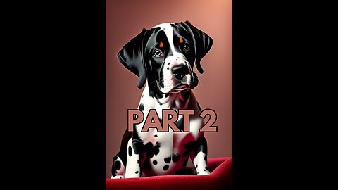 Dalmatian baby dog 🐶 Part 2 | must watch |