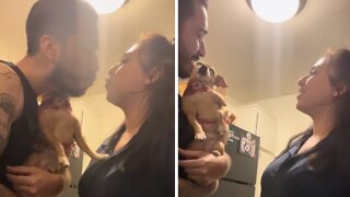 Jealous Pup Refuses To Let Her Owners Kiss