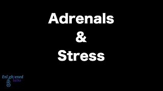 Adrenals & Stress