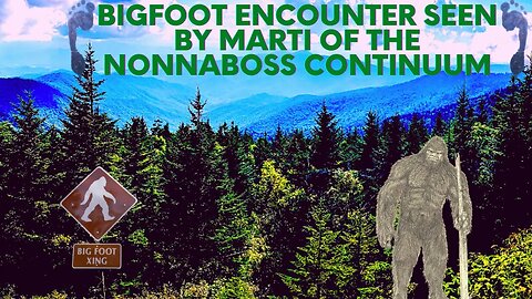 Bigfoot Encounter Seen by Marti of The NonnaBoss Continuum