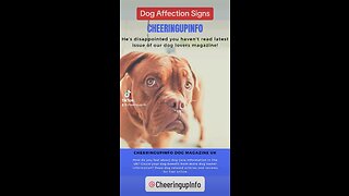 Dog Affection Signs