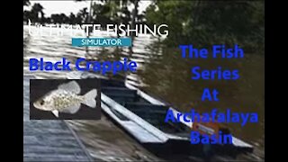 Ultimate Fishing Simulator: The Fish - Archafalaya Basin - Black Crappie - [00029]