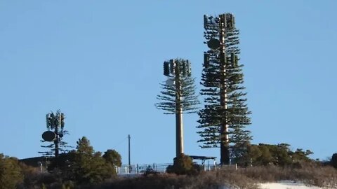 Secret, Camouflaged Communications Tower, Beyond 5G, Middle of Nowhere