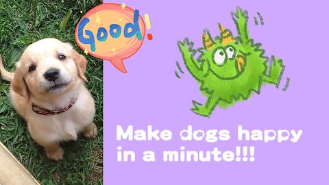 Make your dog happy for a minute!!!