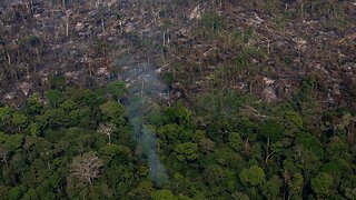 In Brazil's Amazon, Fires Threaten The Environment And Way Of Life