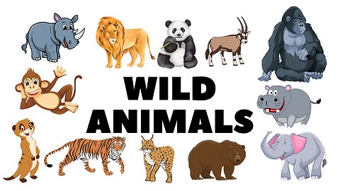 Wild Animals Name’s!