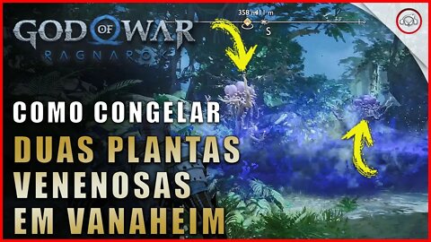 God of war Ragnarok, Como congelar 2 plantas venenosas em Vanaheim | Super dica