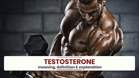What is TESTOSTERONE?