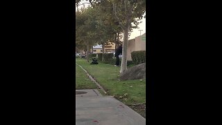homeless sweeping the grass