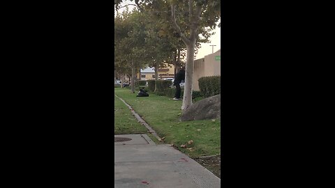 homeless sweeping the grass