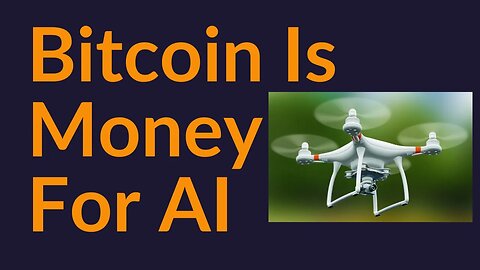 Bitcoin Is Money For The AI
