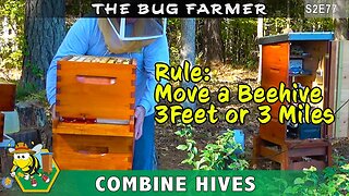 Moving a Beehive 3 feet or 3 miles? - Moving honeybee colony in preparation for winter.