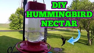 How To Easily Make Your Own DIY Humming Bird Nectar!