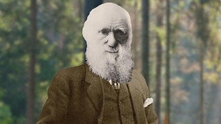 Charles Darwin: Good Ideas, Bad Person
