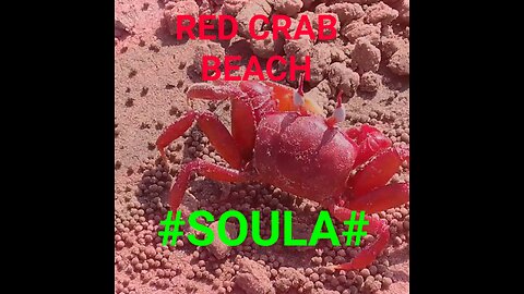 RED CRAB BEACH#SOULA#WEST BENGAL
