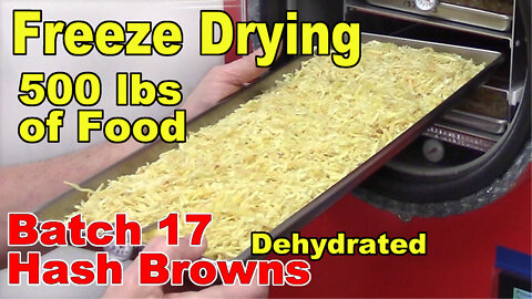 Freeze Drying Your First 500 lbs of Food - Batch 17 - Hashbrown Potatoes, Dehydrated