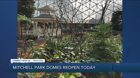 Mitchell Park Domes Reopen