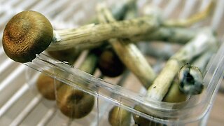 Oakland, California, Decriminalizes 'Magic Mushrooms'