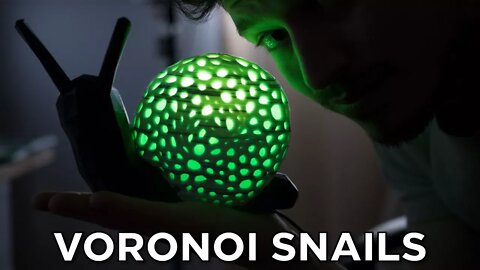Voronoi Anything // Snell the Voronoi Snail