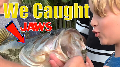 We Caught Jaws! Giant Bass fish