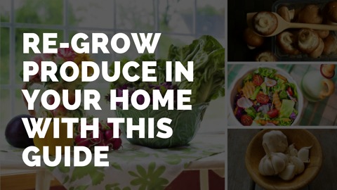 Re-grow produce in your home with this guide
