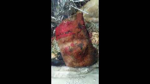 Denver mom retrieves Christmas decorations from rented storage locker, finds them covered in mold