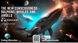 The New Consciousness : Dolphins, Whales and Angels