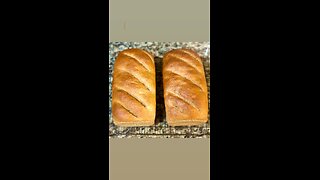 Freshly Made Bread
