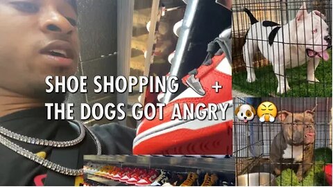 TOWN EAST MALL SHOE SHOPPING 👟 + THE DOGS TRIED TO BREAK OUT THE CAGE 😤😡🐶
