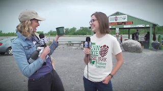 It’s Fossil Fridays at Penn Dixie Fossil Park and Nature Reserve