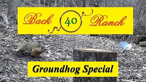 Back 40 Ranch Groundhog Special