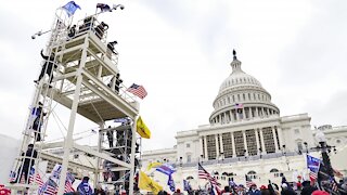 D.C. Police Seek Help Identifying Capitol Rioters