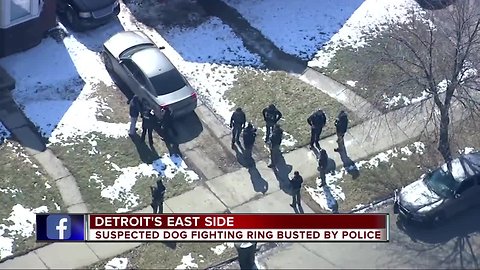 Detroit police raid home of alleged dog fighting ring