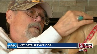 Vietnam Veteran gets service dog