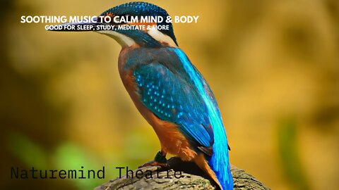 Relaxing Music To Calm The Mind & Mood | For Meditation, Stress Relief, Sleep, Anxiety & More