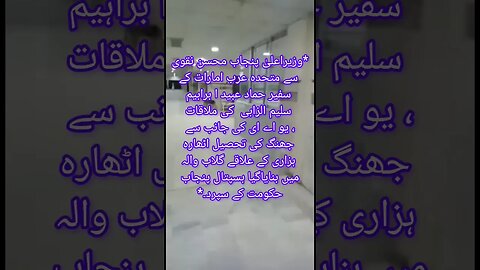 *وزیراعلیٰ پنجاب محسن نقوی سے متحدہ عرب امارات کے سفیر حماد عبید ا براہیم سلیم الزابی کی ملاقات، یو