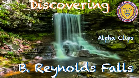 Discovering B. Reynolds Falls