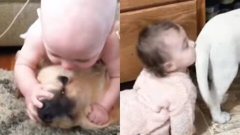 CUTE ANIMALS AND CUTE BABY FUNNY VIDEOS 😍😍😍😍