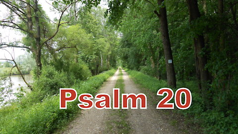 Psalm 20 (Luther 1912)