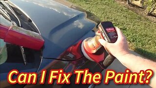 Fixing The Paint On The CarMax Auction Hyundai Kona.