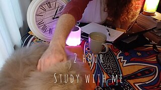 2 HOUR | 📚 STUDY WITH ME 🐈 | CALM RAIN 🌧 |Day: 19