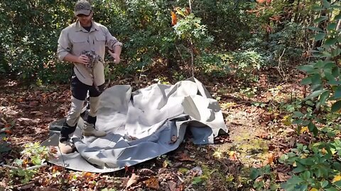 Jungle loft bed & shelter built with single canvas tarp solo overnight /6