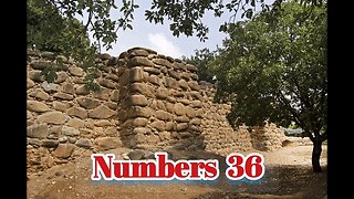 Numbers 36